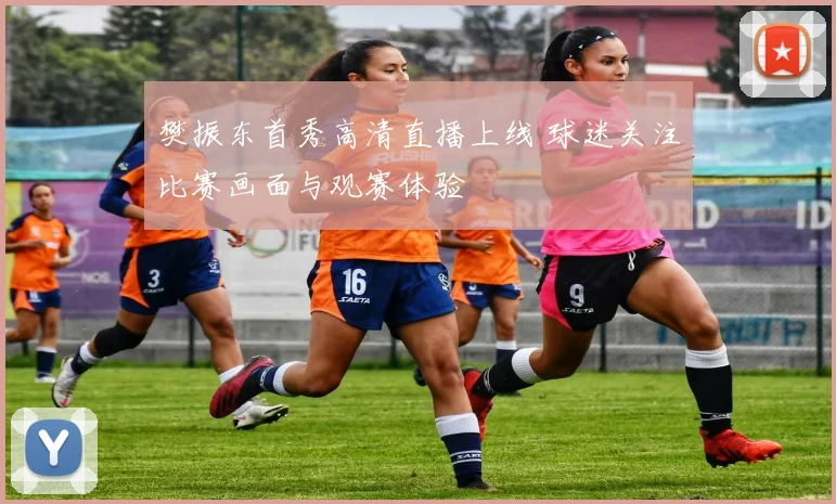 樊振东首秀高清直播上线 球迷关注比赛画面与观赛体验