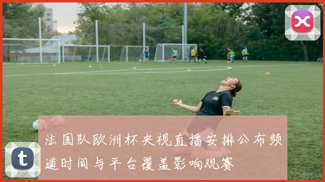 法国队欧洲杯央视直播安排公布频道时间与平台覆盖影响观赛